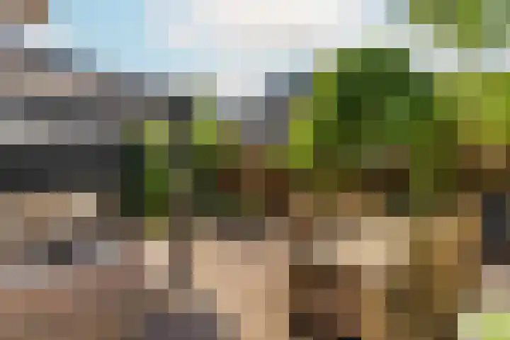 De Witte Zwaan 23 Amersfoort thumbnail 23