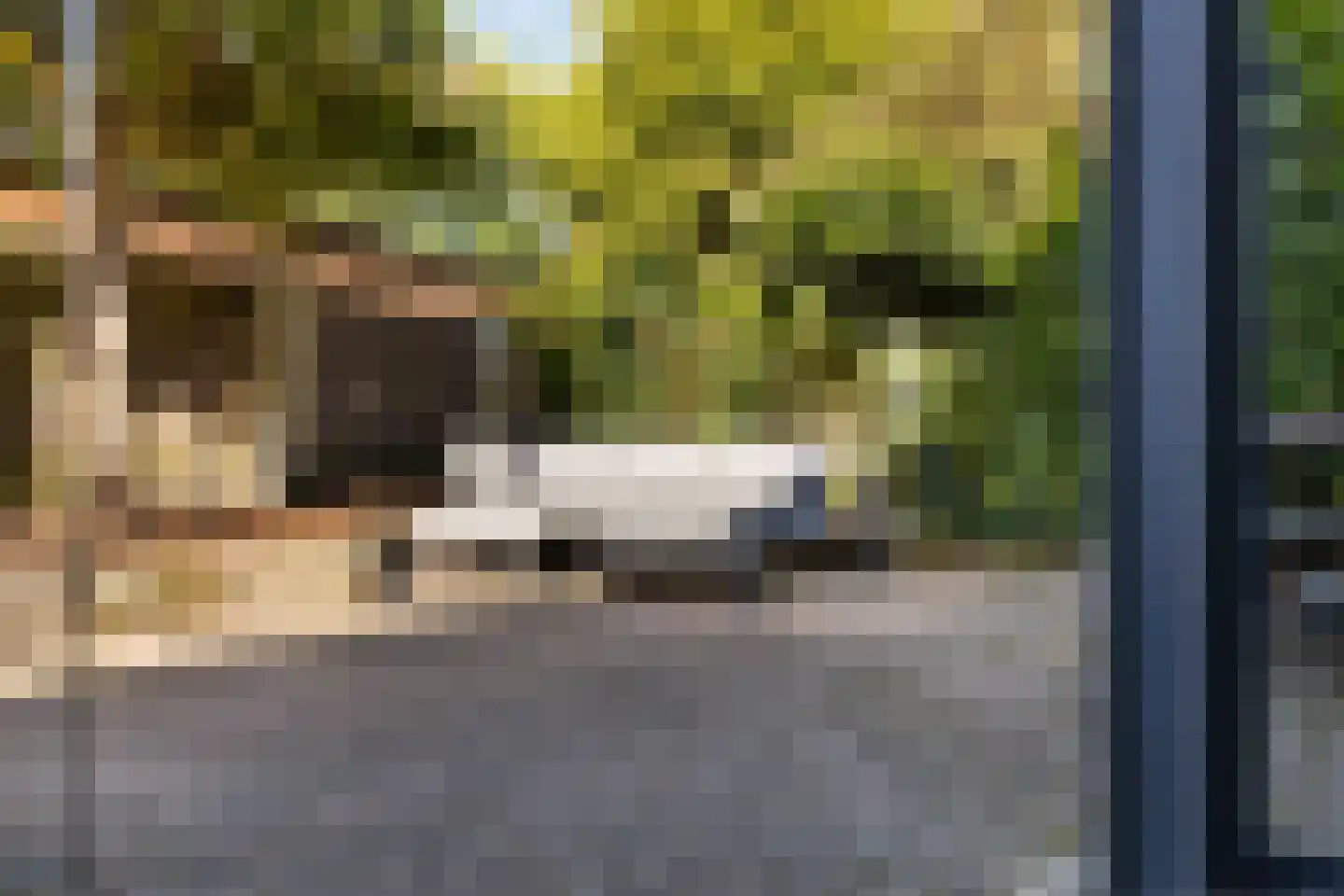 De Witte Zwaan 23 Amersfoort thumbnail 24