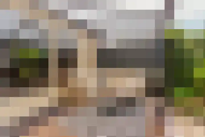 De Witte Zwaan 23 Amersfoort thumbnail 24