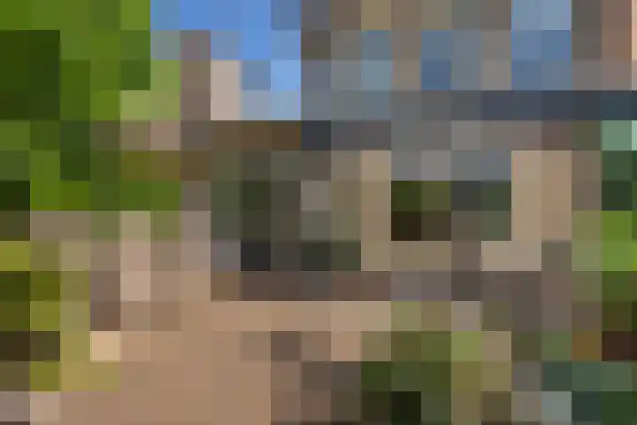 De Witte Zwaan 23 Amersfoort thumbnail 25