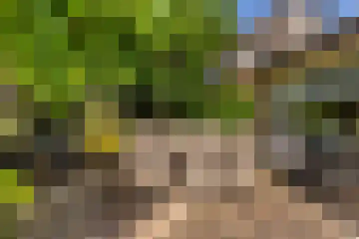 De Witte Zwaan 23 Amersfoort thumbnail 26