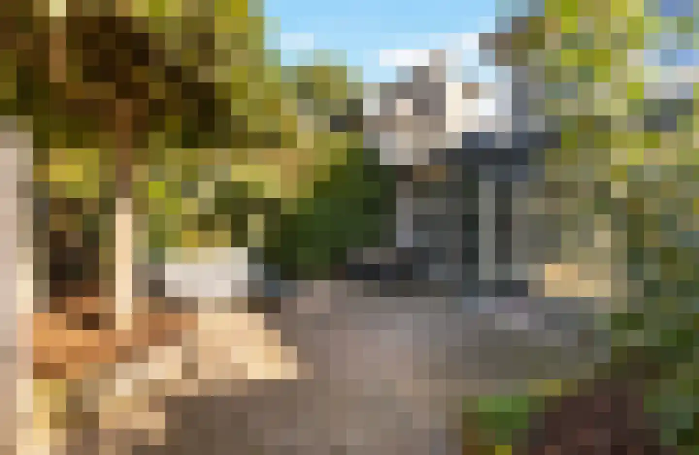 De Witte Zwaan 23 Amersfoort thumbnail 26