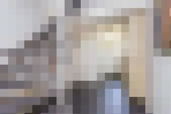 De Witte Zwaan 23 Amersfoort thumbnail 28