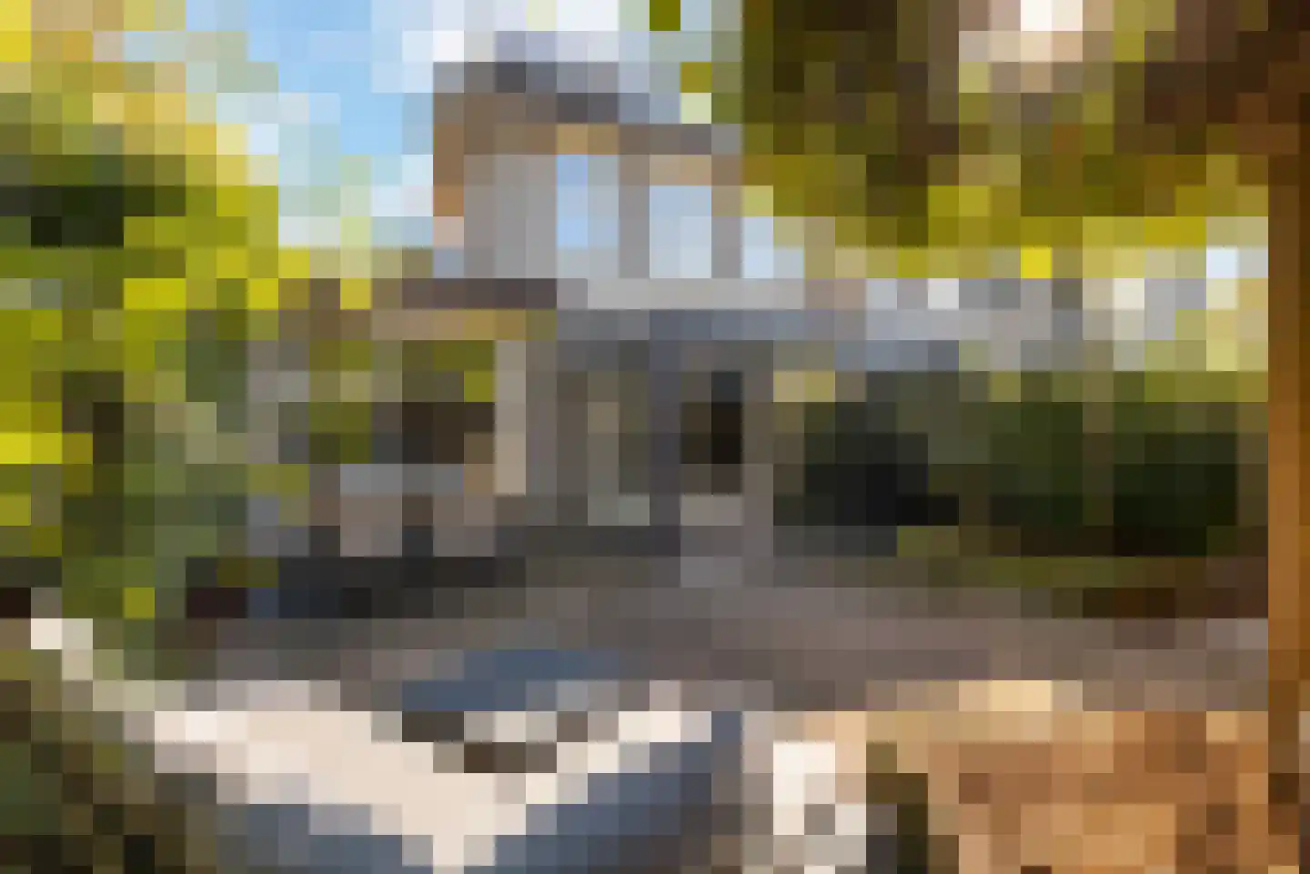 De Witte Zwaan 23 Amersfoort thumbnail 28