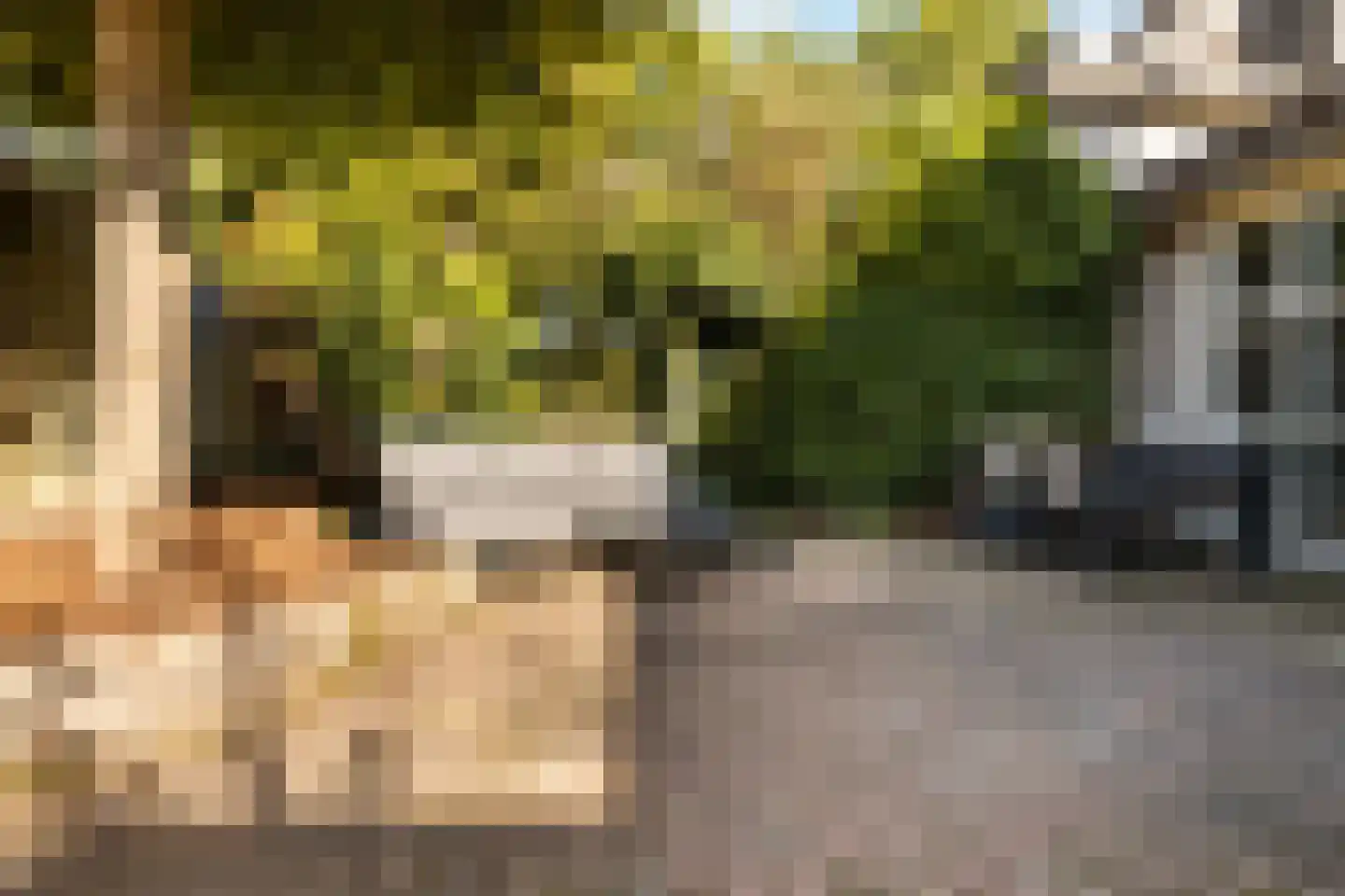 De Witte Zwaan 23 Amersfoort thumbnail 29