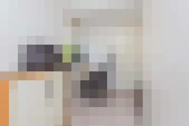De Witte Zwaan 23 Amersfoort thumbnail 30