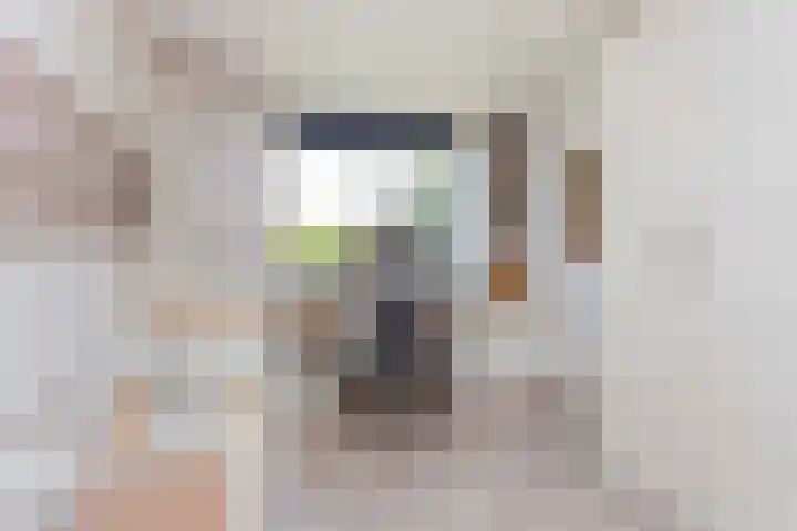 De Witte Zwaan 23 Amersfoort thumbnail 32