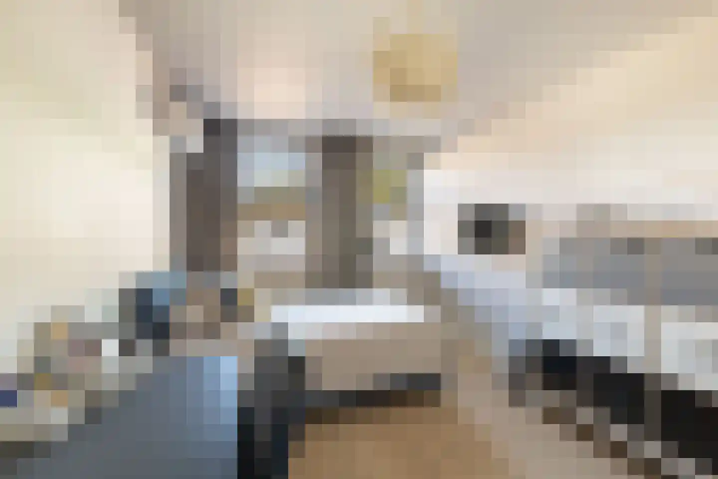 De Witte Zwaan 23 Amersfoort thumbnail 33