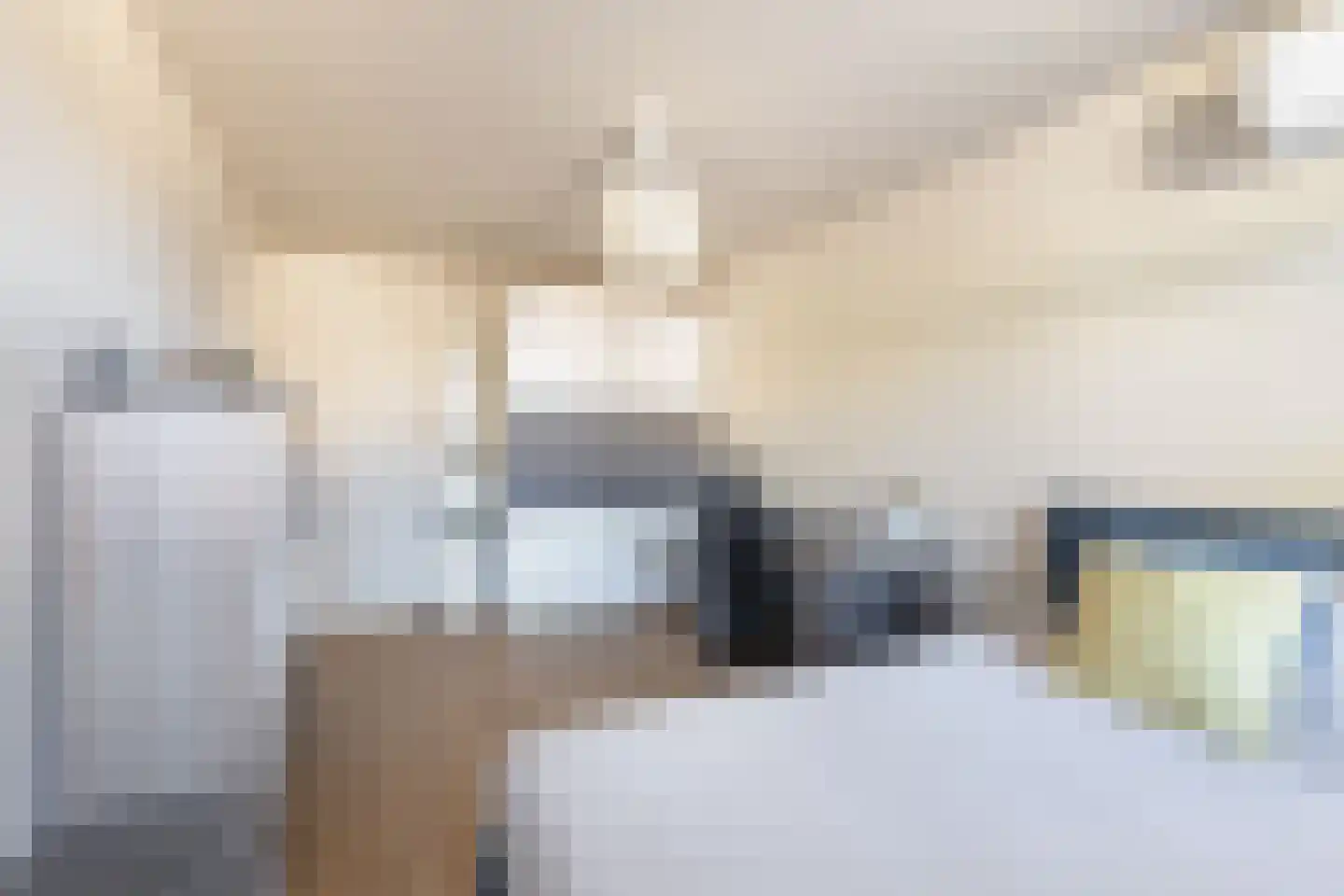 De Witte Zwaan 23 Amersfoort thumbnail 34