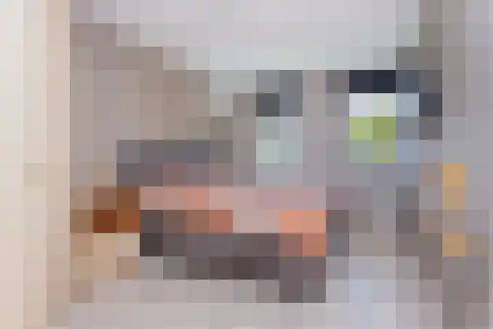 De Witte Zwaan 23 Amersfoort thumbnail 34