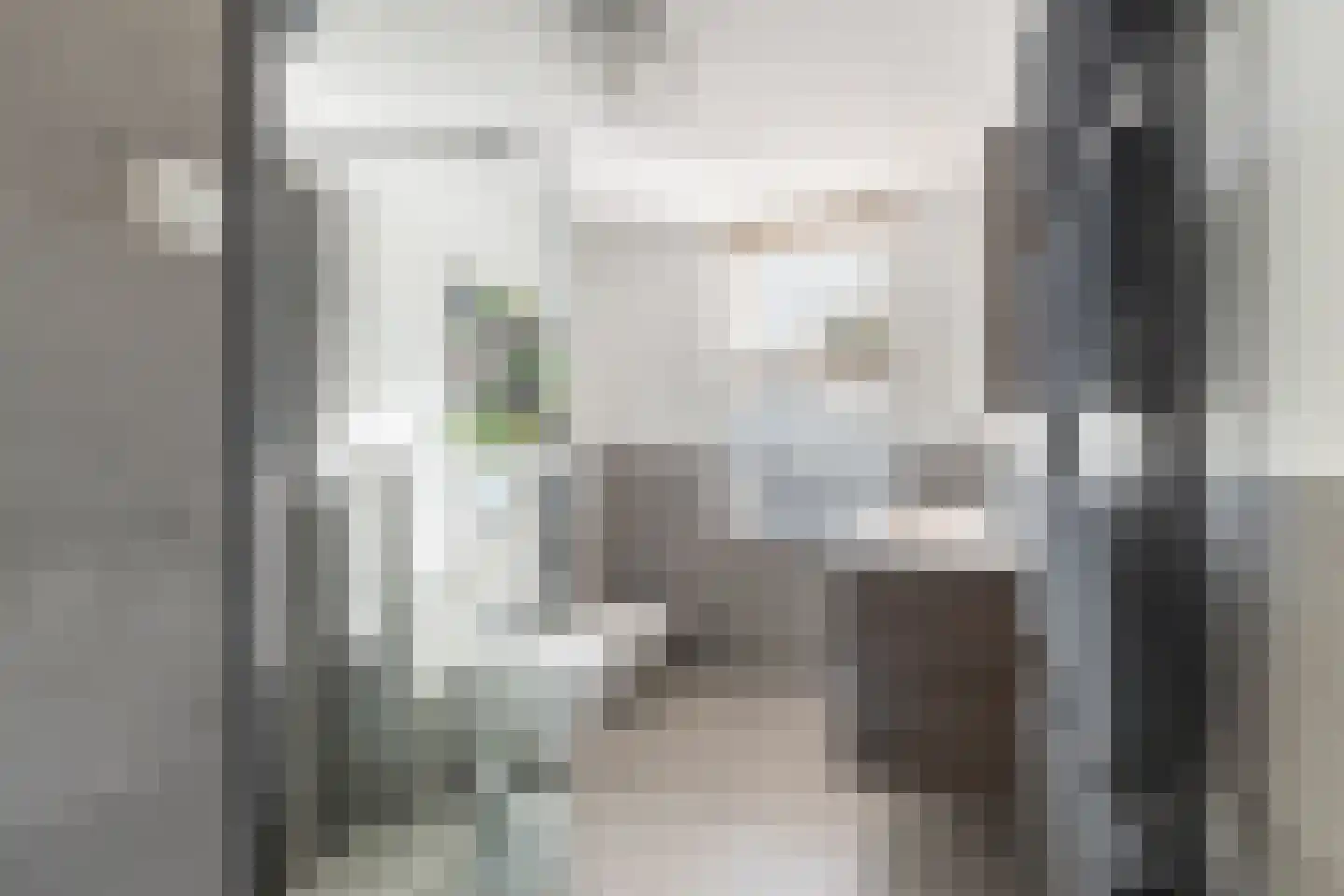 De Witte Zwaan 23 Amersfoort thumbnail 35