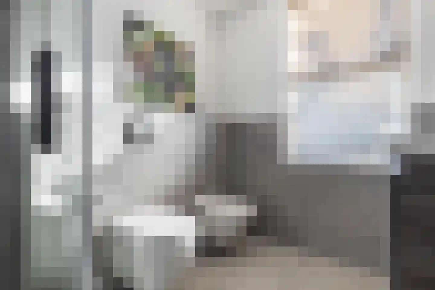 De Witte Zwaan 23 Amersfoort thumbnail 36