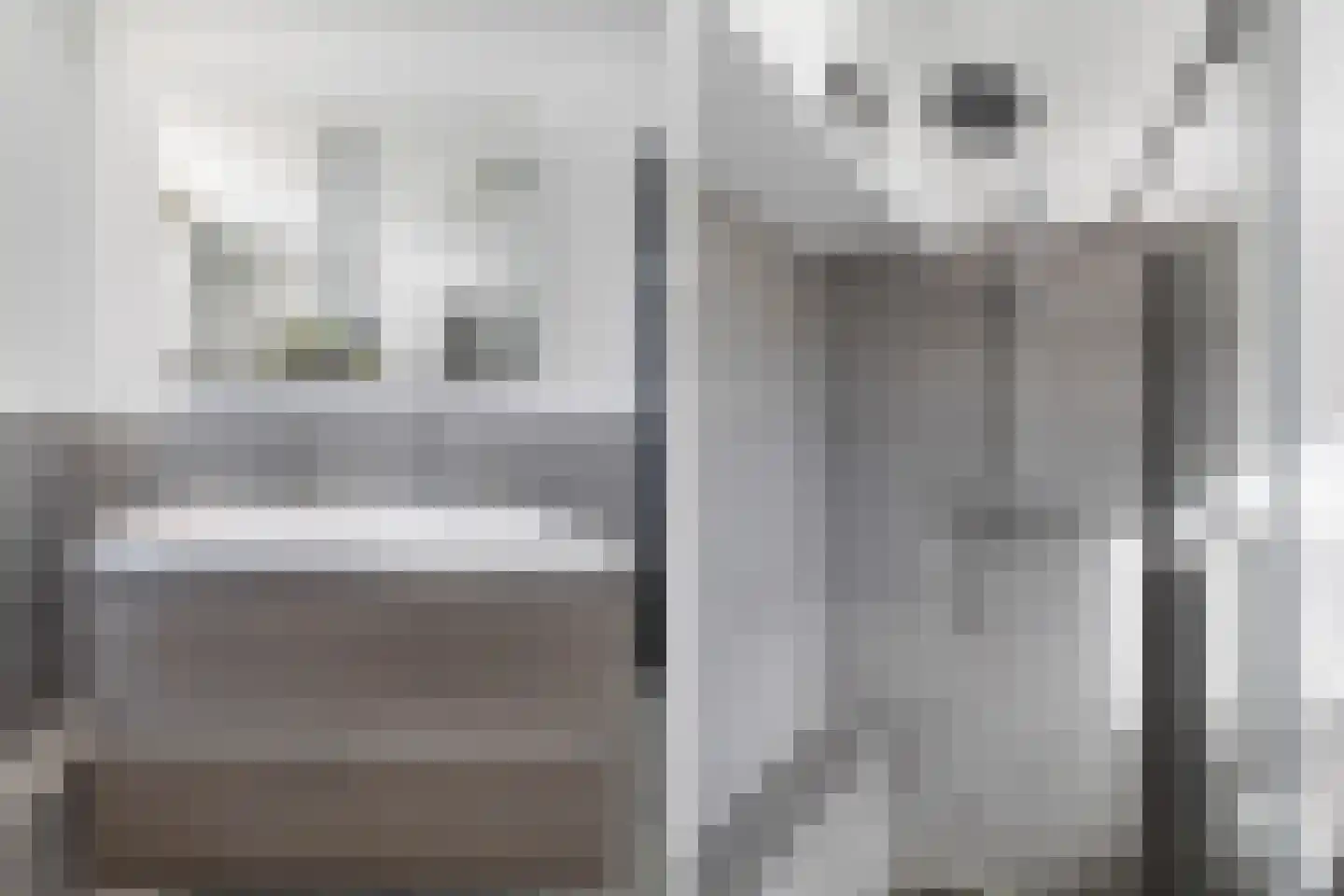 De Witte Zwaan 23 Amersfoort thumbnail 38