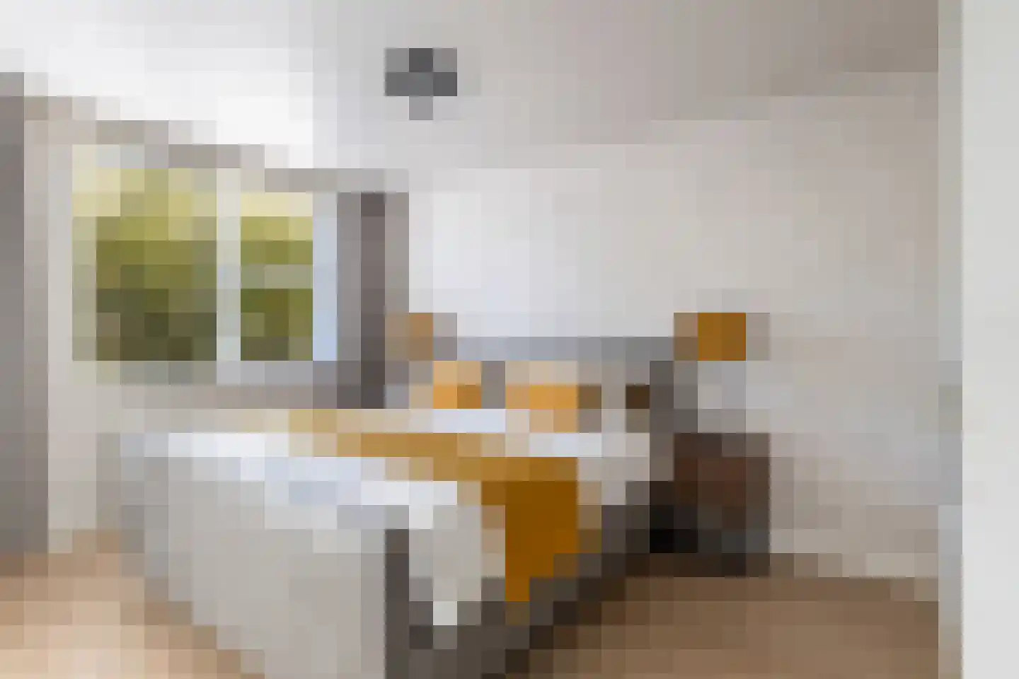 De Witte Zwaan 23 Amersfoort thumbnail 39