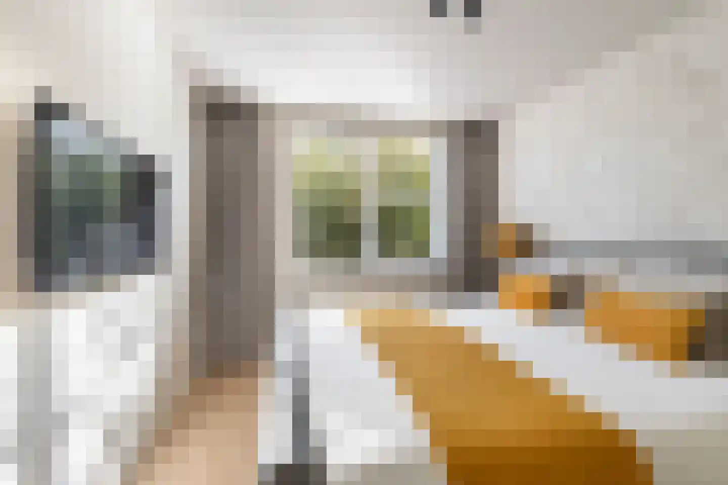 De Witte Zwaan 23 Amersfoort thumbnail 40