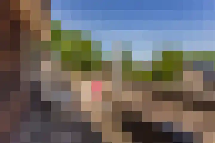 De Witte Zwaan 23 Amersfoort thumbnail 41