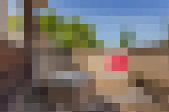 De Witte Zwaan 23 Amersfoort thumbnail 42