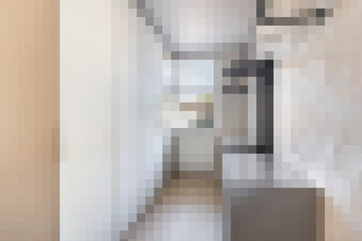De Witte Zwaan 23 Amersfoort thumbnail 43