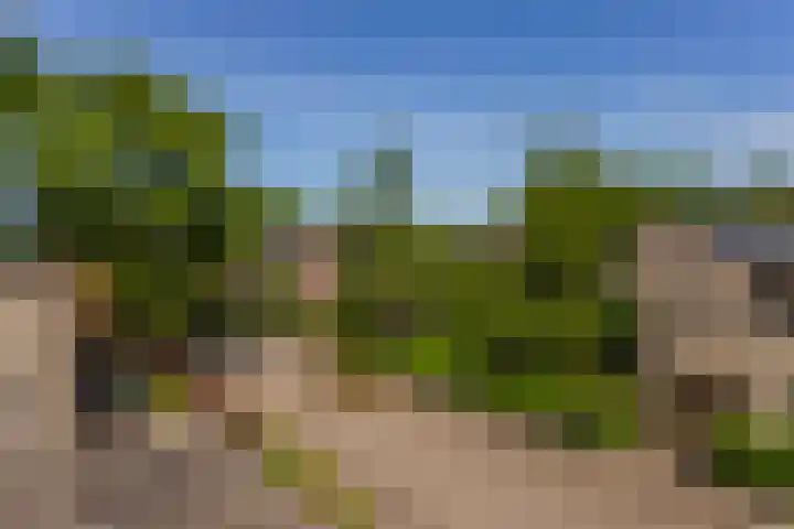 De Witte Zwaan 23 Amersfoort thumbnail 43
