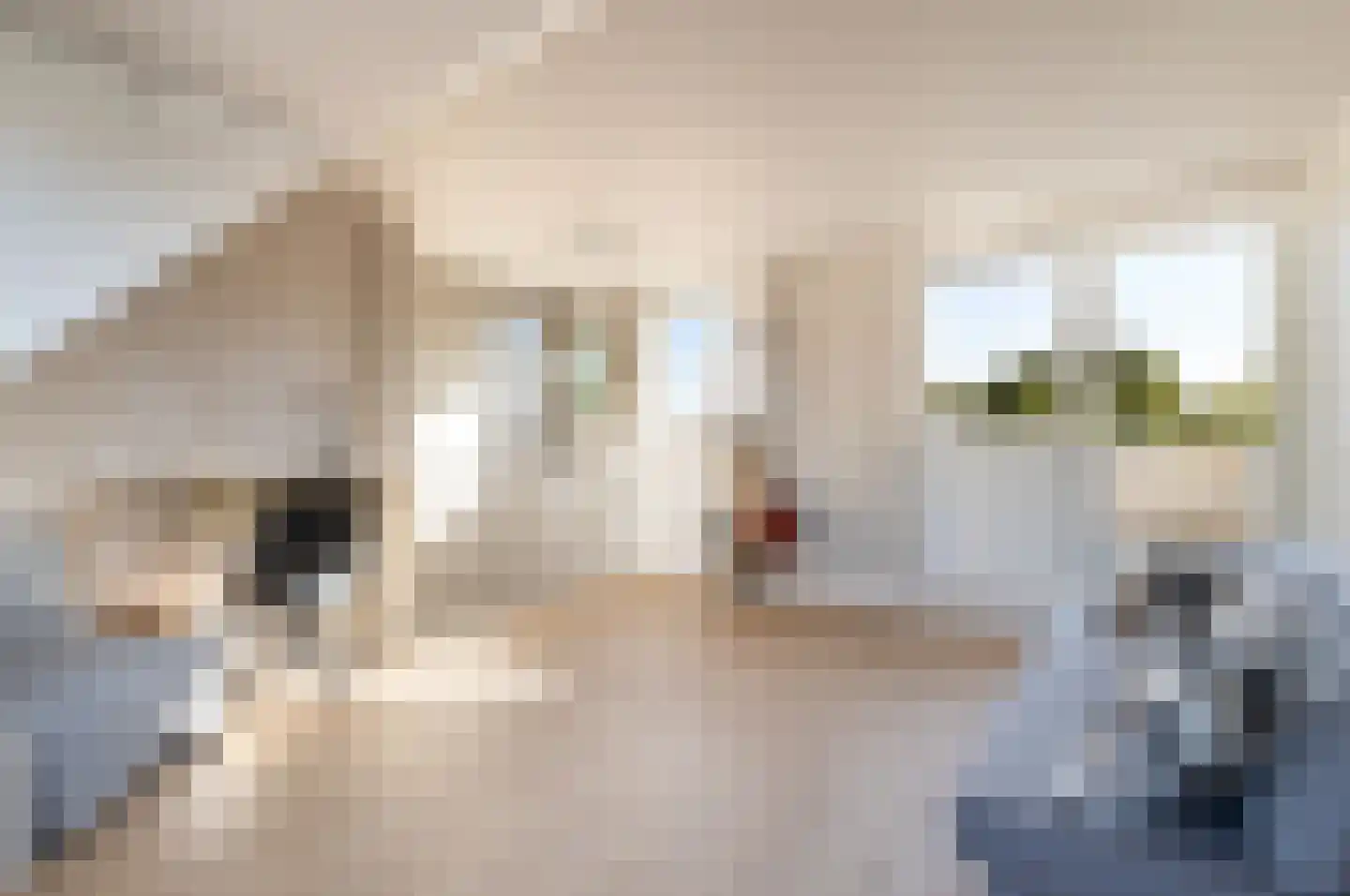 De Witte Zwaan 23 Amersfoort thumbnail 45