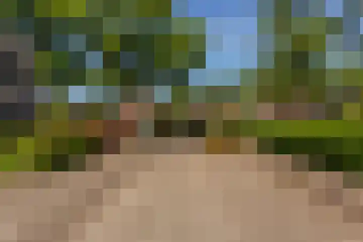De Witte Zwaan 23 Amersfoort thumbnail 45