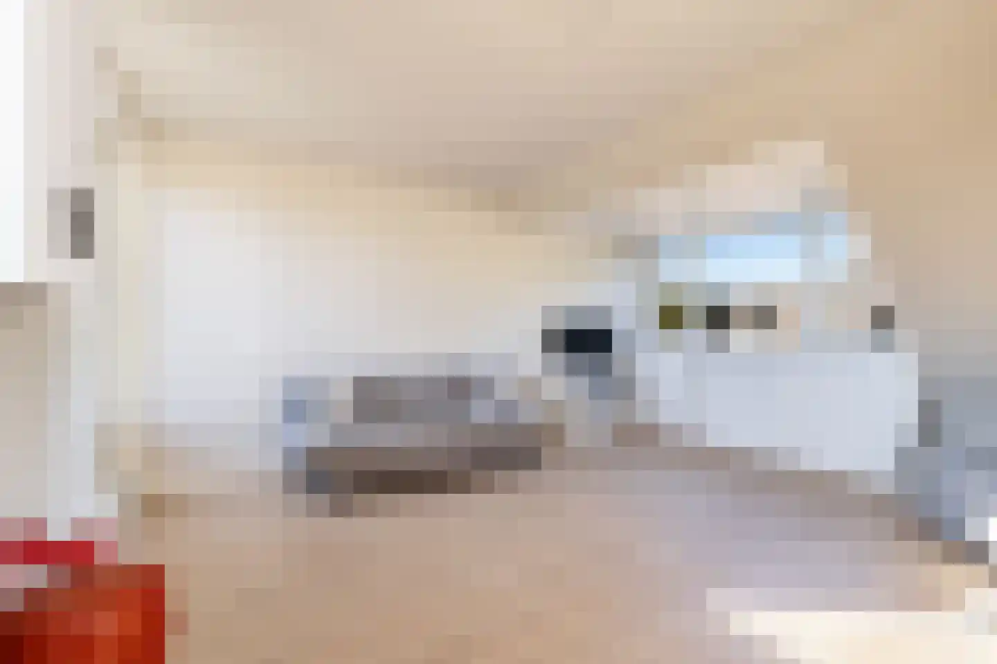 De Witte Zwaan 23 Amersfoort thumbnail 46