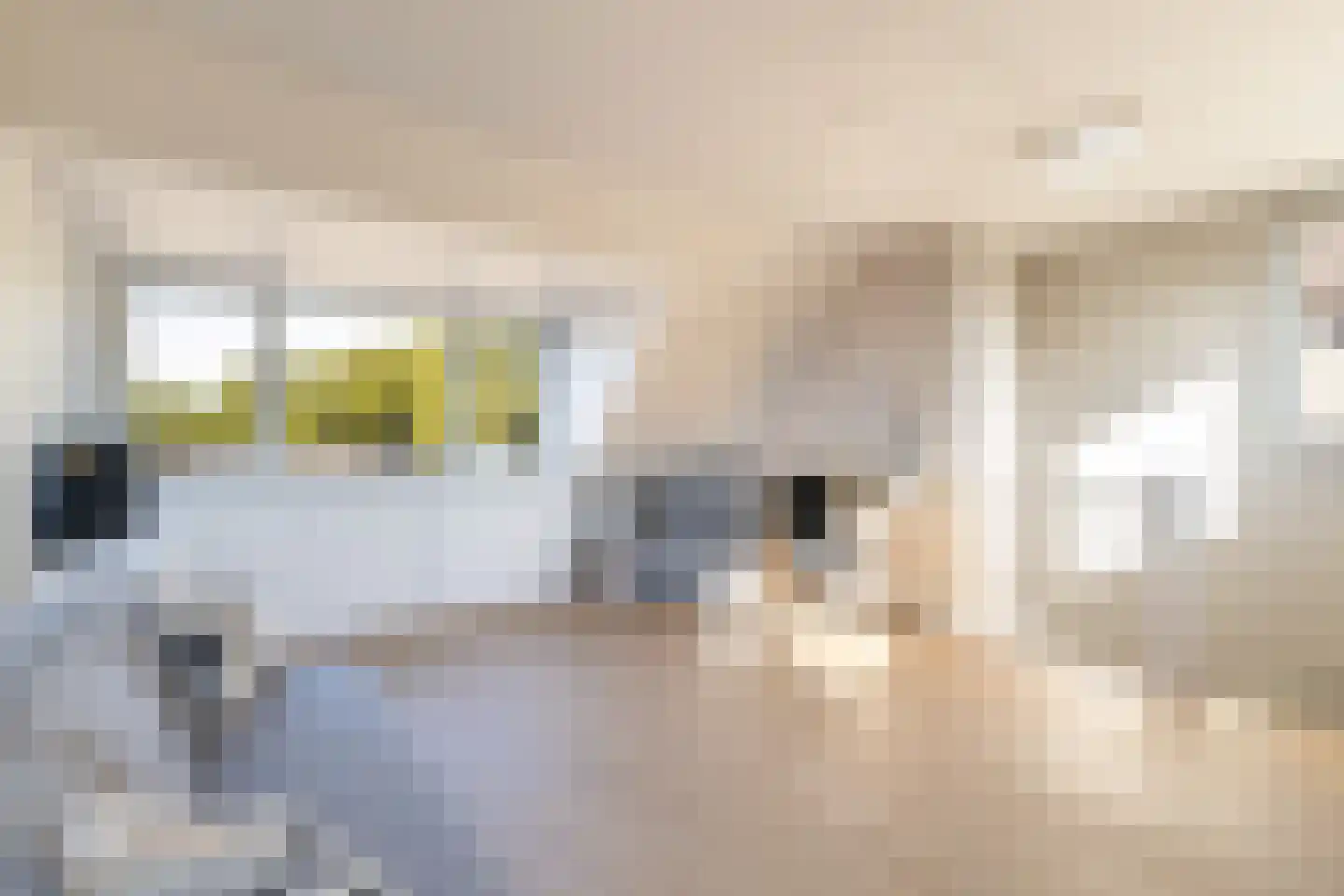 De Witte Zwaan 23 Amersfoort thumbnail 47