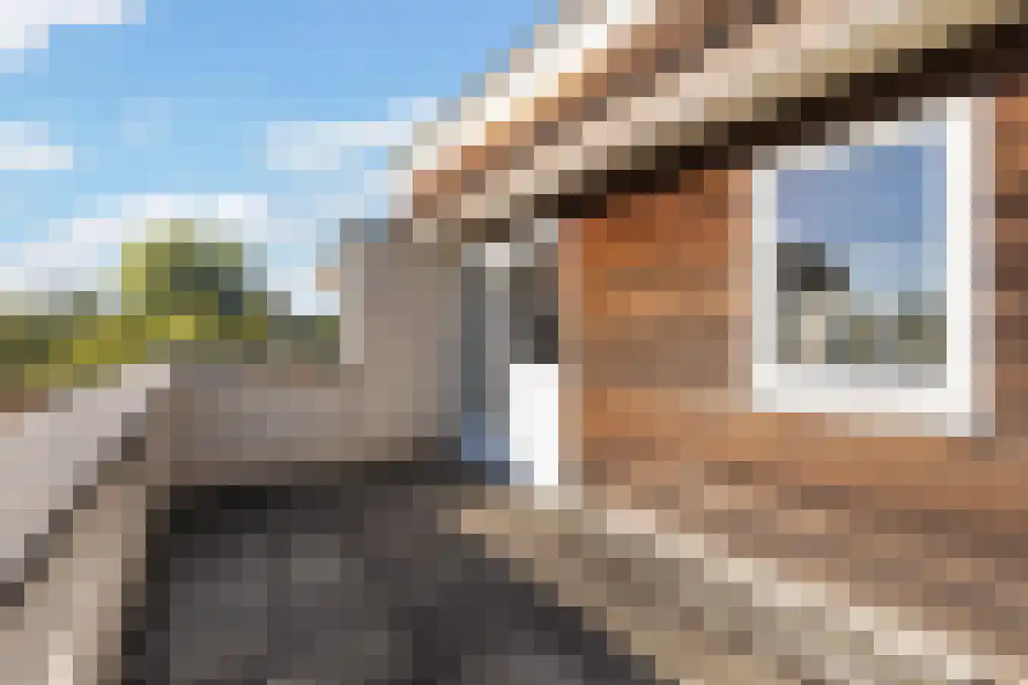 De Witte Zwaan 23 Amersfoort thumbnail 49