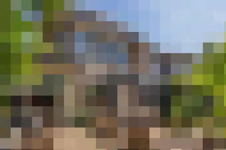 De Witte Zwaan 23 Amersfoort thumbnail 5