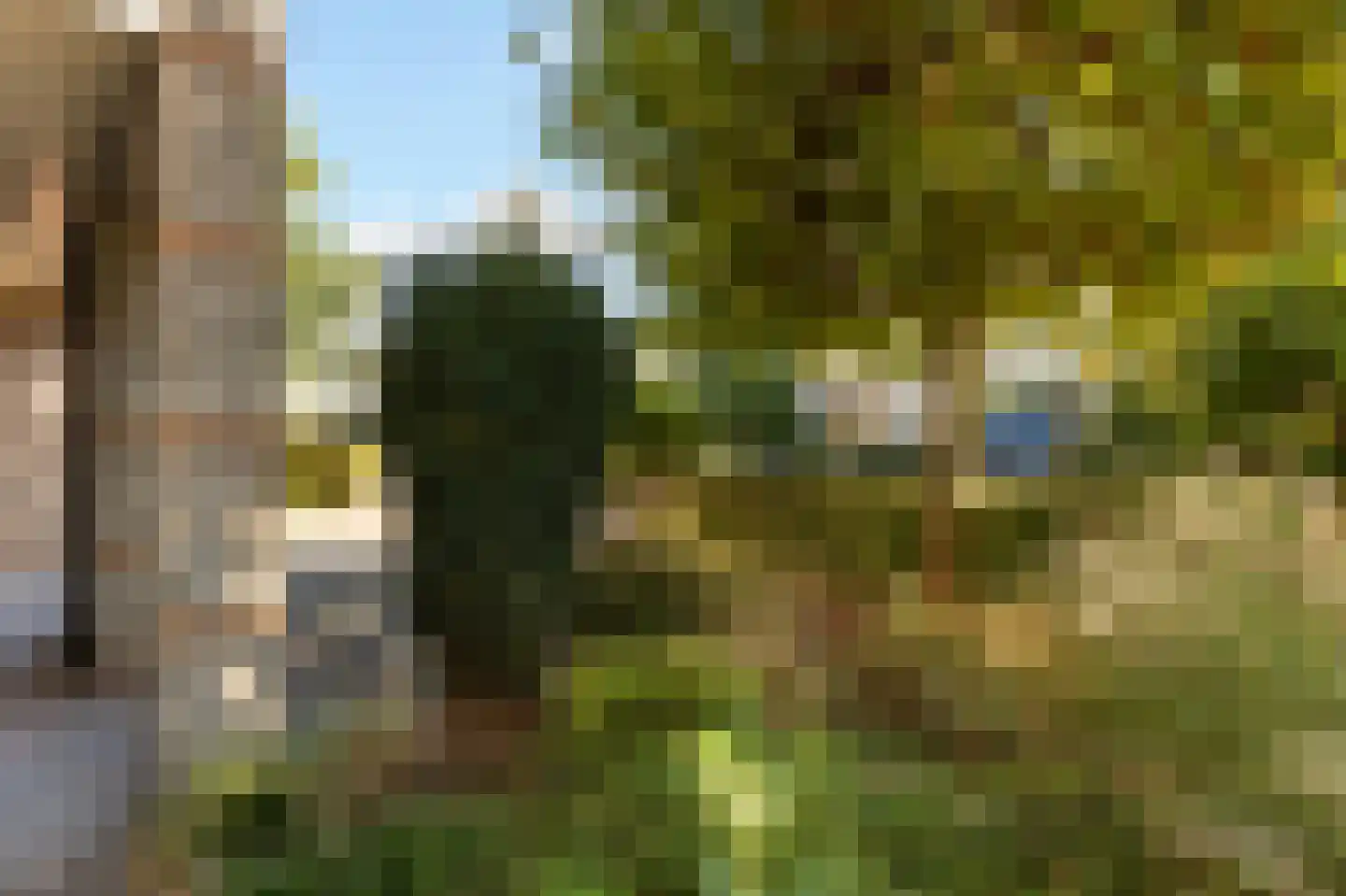 De Witte Zwaan 23 Amersfoort thumbnail 51