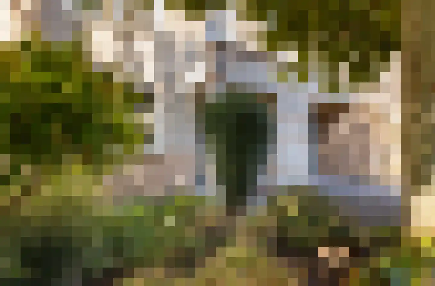 De Witte Zwaan 23 Amersfoort thumbnail 52