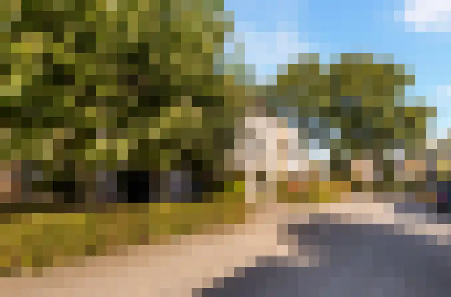 De Witte Zwaan 23 Amersfoort thumbnail 54