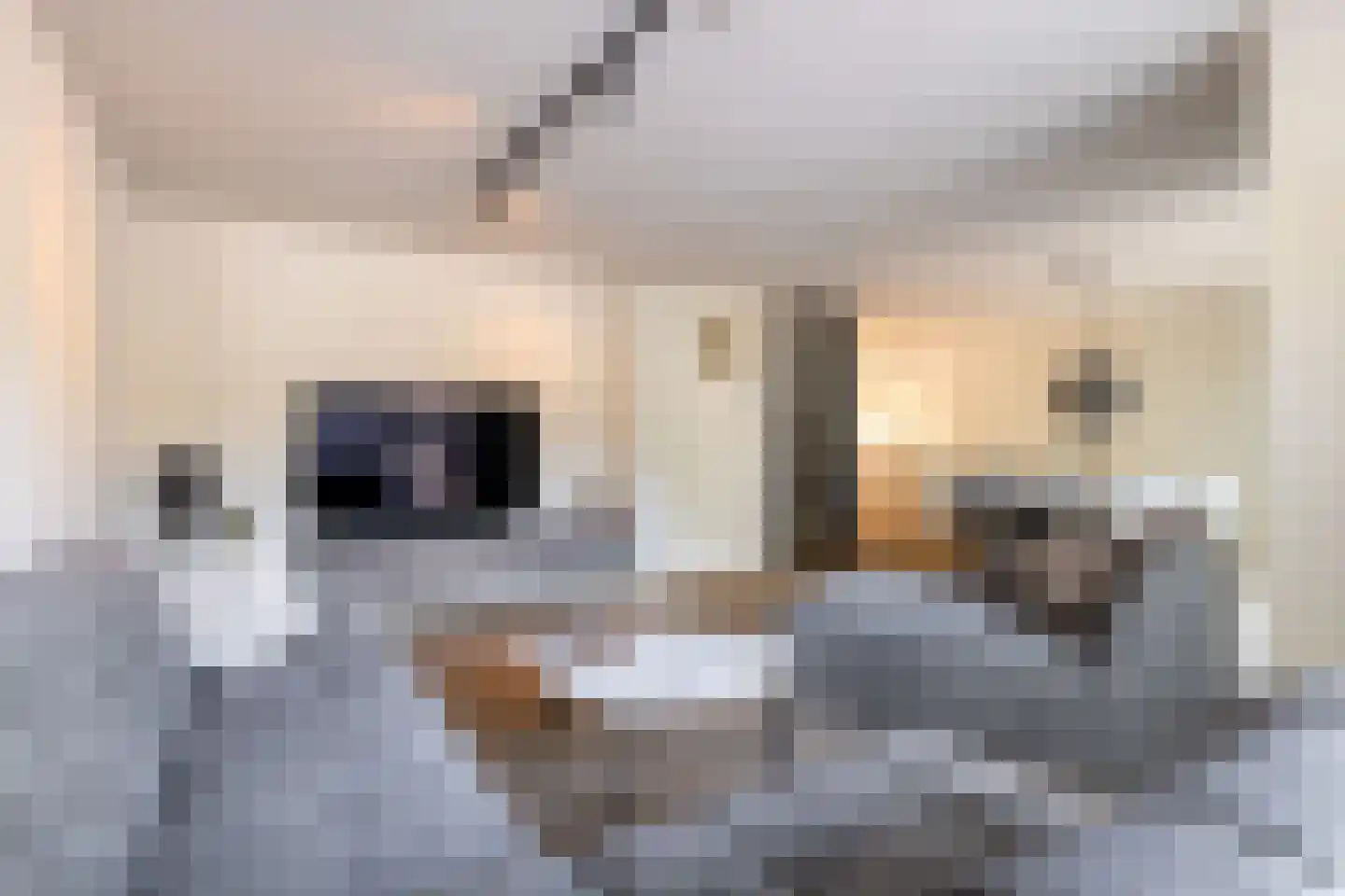 De Witte Zwaan 23 Amersfoort thumbnail 6