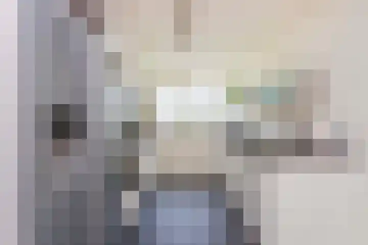 De Witte Zwaan 23 Amersfoort thumbnail 7