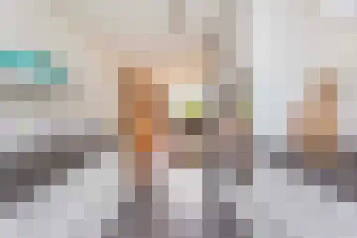 De Witte Zwaan 23 Amersfoort thumbnail 8