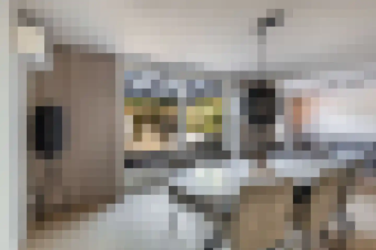 De Witte Zwaan 23 Amersfoort thumbnail 9