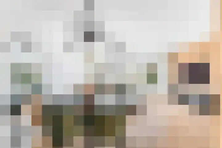 De Witte Zwaan 42 Amersfoort thumbnail 10