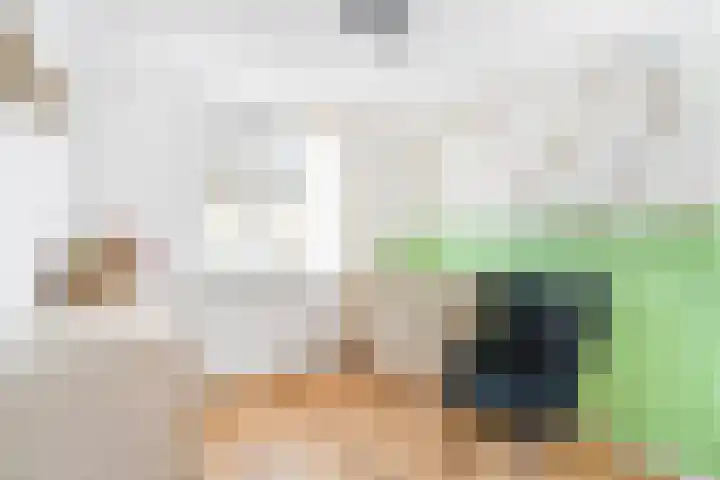 De Witte Zwaan 42 Amersfoort thumbnail 17