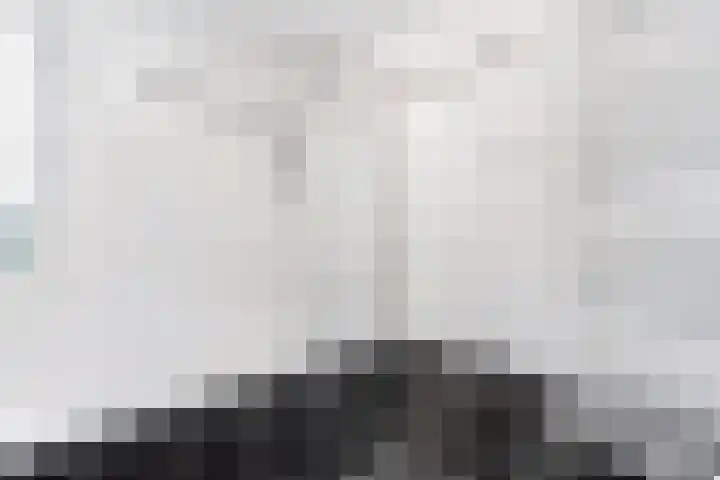 De Witte Zwaan 42 Amersfoort thumbnail 20
