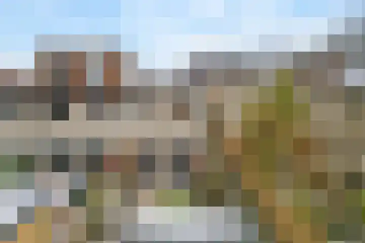 De Witte Zwaan 42 Amersfoort thumbnail 22