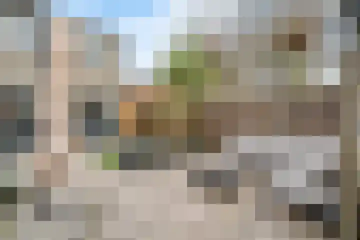 De Witte Zwaan 42 Amersfoort thumbnail 23