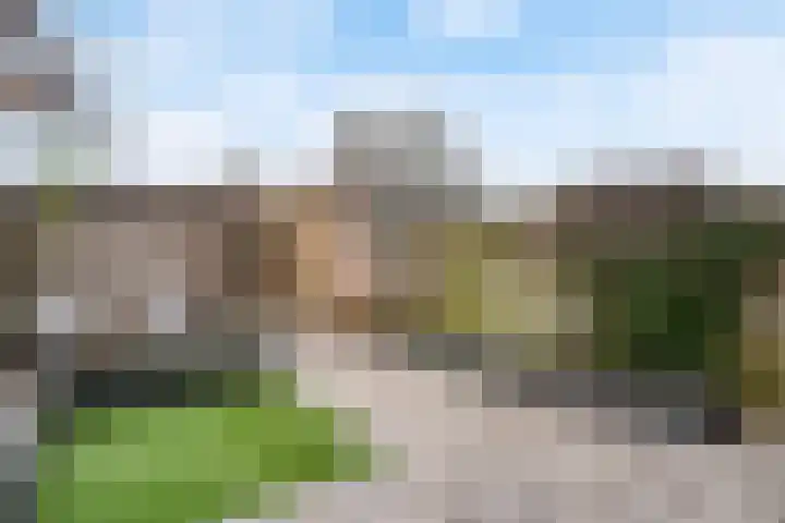 De Witte Zwaan 42 Amersfoort thumbnail 24
