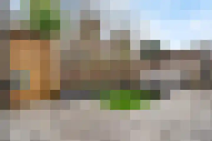 De Witte Zwaan 42 Amersfoort thumbnail 25
