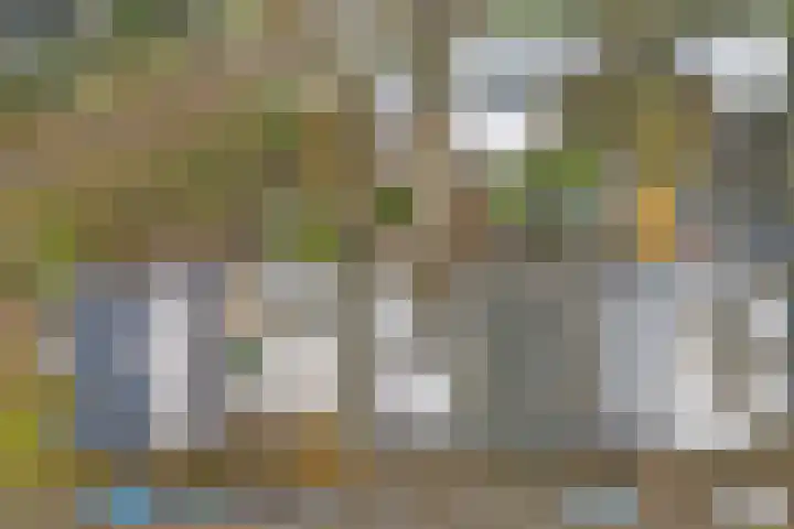De Witte Zwaan 42 Amersfoort thumbnail 27