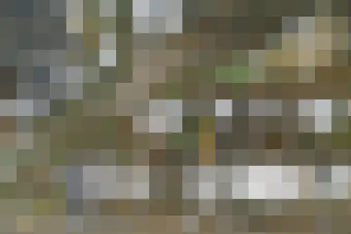De Witte Zwaan 42 Amersfoort thumbnail 28
