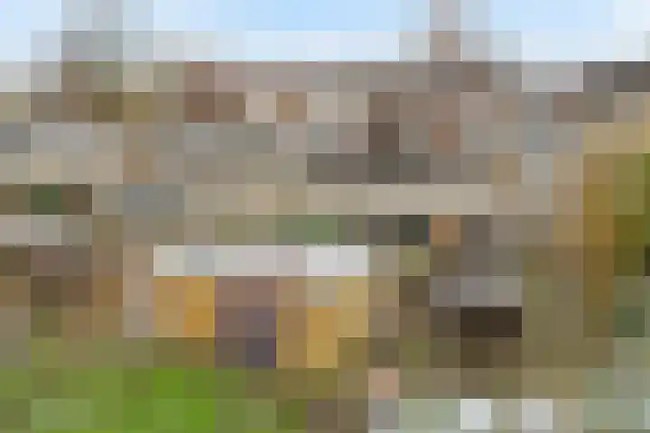 De Witte Zwaan 42 Amersfoort thumbnail 29