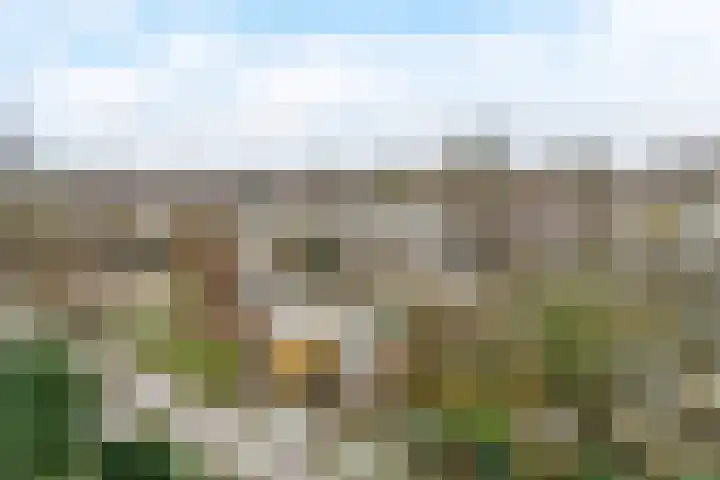 De Witte Zwaan 42 Amersfoort thumbnail 30