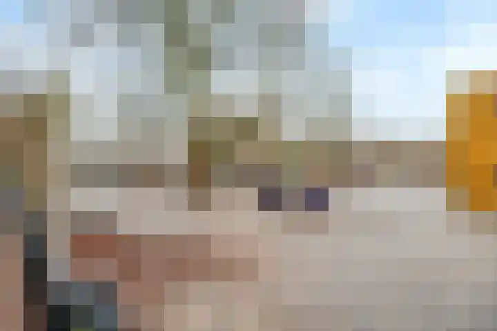De Witte Zwaan 42 Amersfoort thumbnail 34