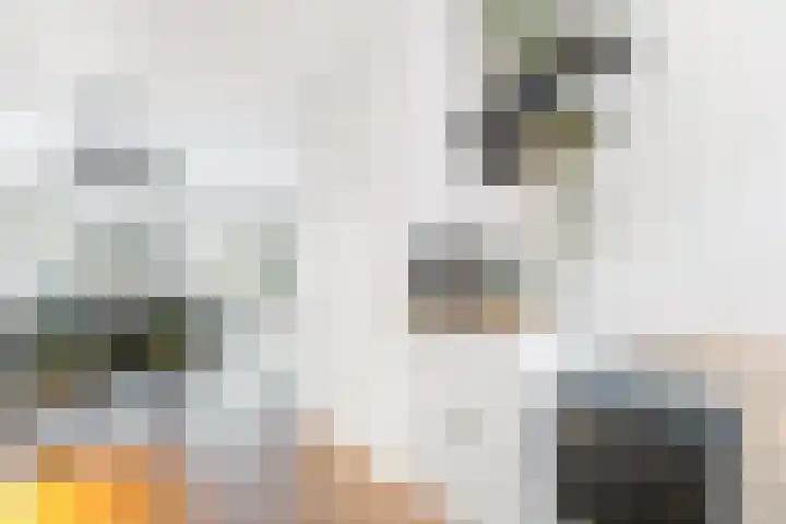 De Witte Zwaan 42 Amersfoort thumbnail 6