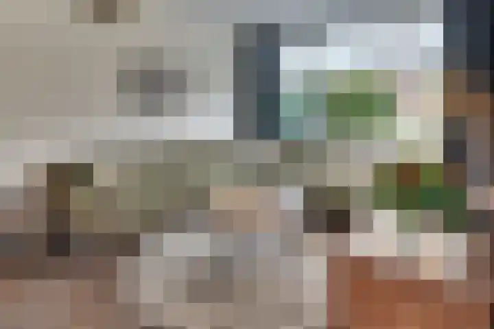 De Wittenhagen 105 Harderwijk thumbnail 11